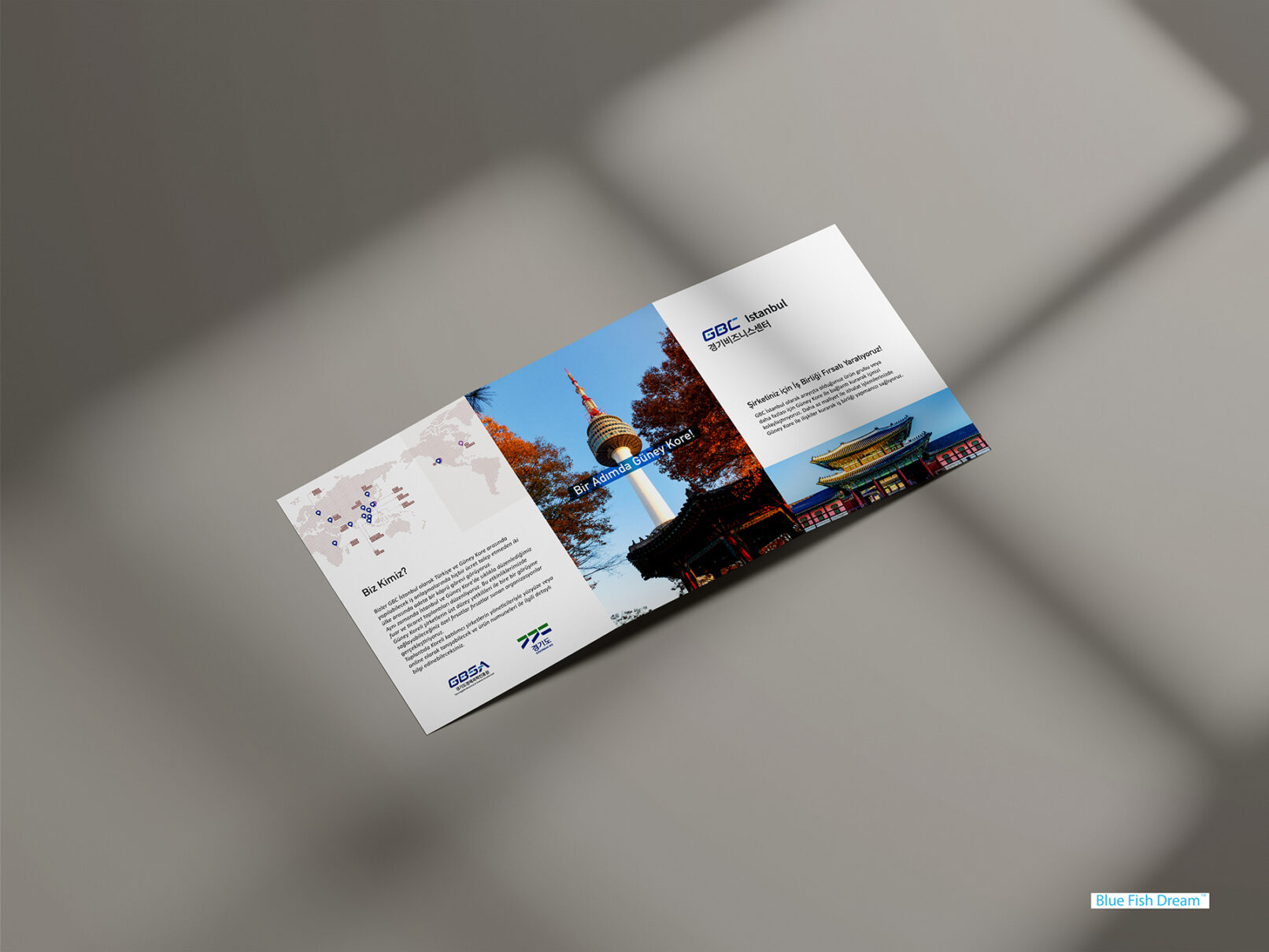 brochure design