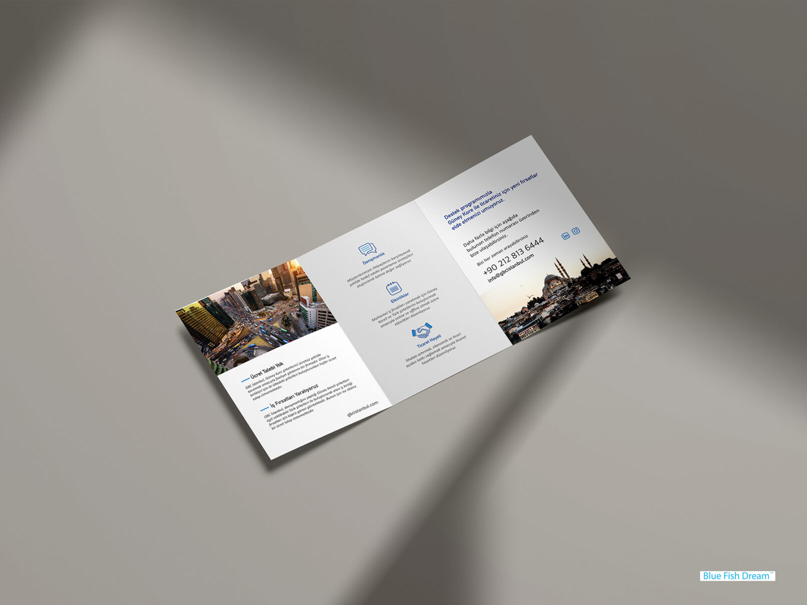 brochure design